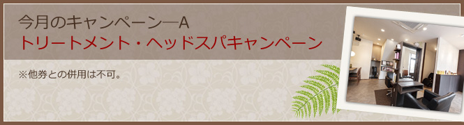 今月のキャンペーン―A 縮毛矯正キャンペーン ※他券との併用は不可。