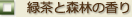 緑茶と森林の香り